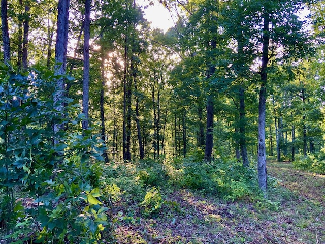 0 Bear Creek Rd, Waverly, TN 37185
