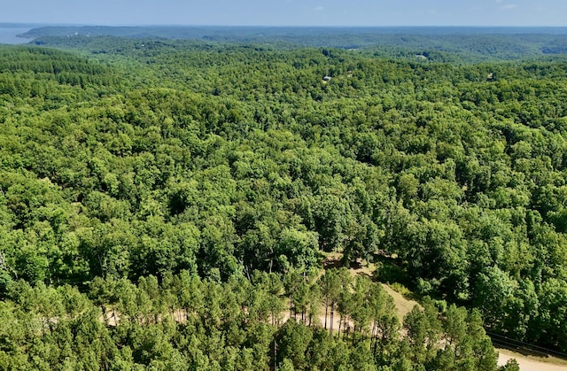 0 Bear Creek Rd, Waverly, TN 37185