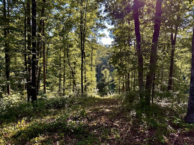 0 Bear Creek Rd, Waverly, TN 37185