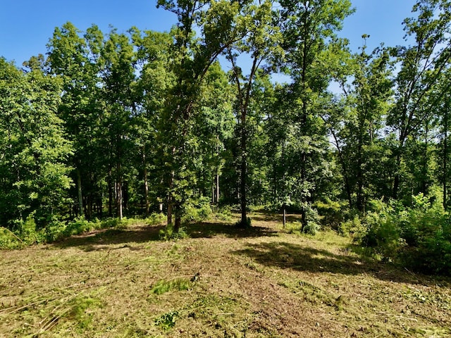 0 Bear Creek Rd, Waverly, TN 37185