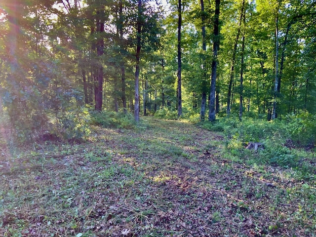 0 Bear Creek Rd, Waverly, TN 37185