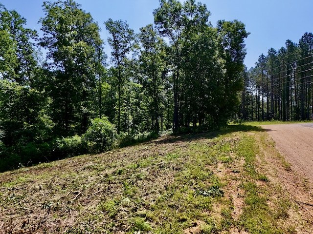 0 Bear Creek Rd, Waverly, TN 37185