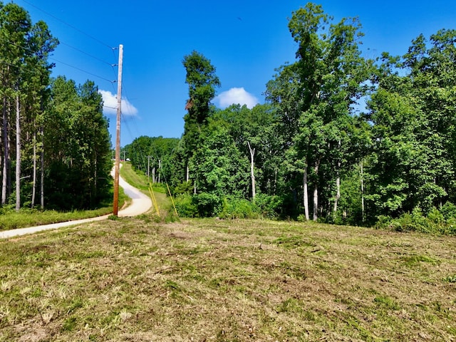 0 Bear Creek Rd, Waverly, TN 37185