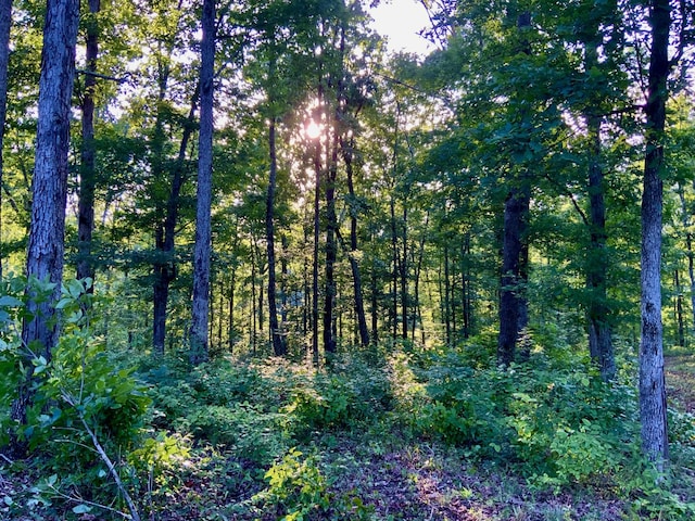 0 Bear Creek Rd, Waverly, TN 37185