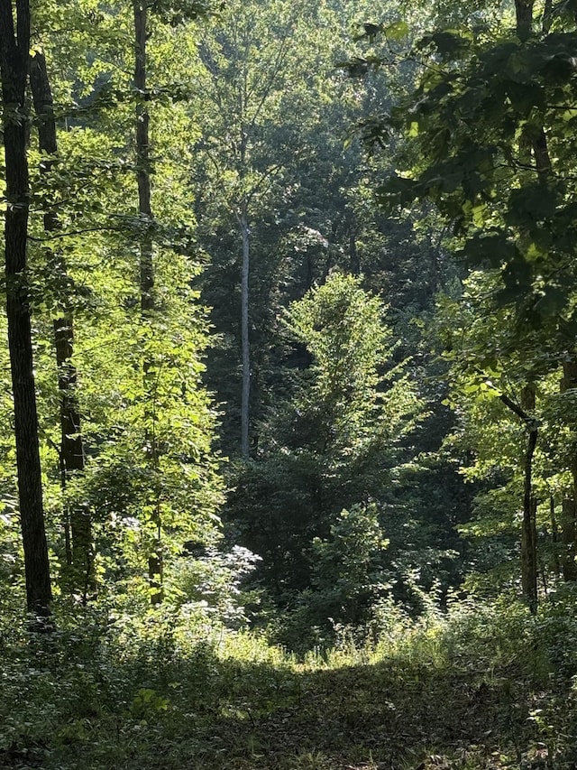 0 Bear Creek Rd, Waverly, TN 37185