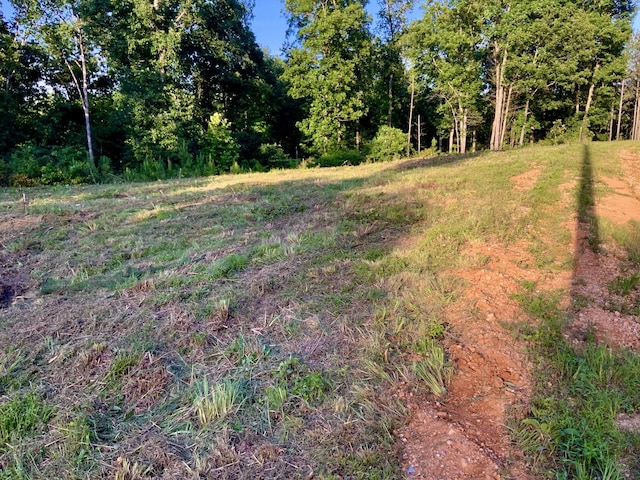 0 Bear Creek Rd, Waverly, TN 37185