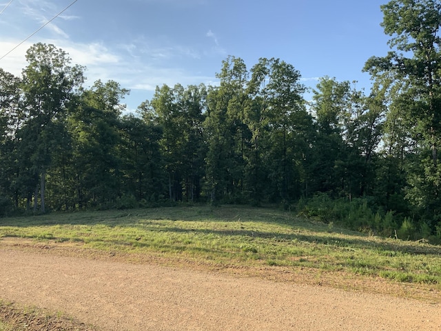 0 Bear Creek Rd, Waverly, TN 37185