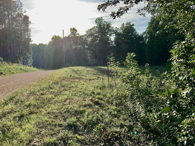 0 Bear Creek Rd, Waverly, TN 37185