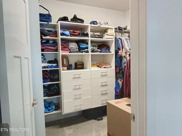 115 Bent Oak Ter, Crossville, TN 38558 - view of walk in closet