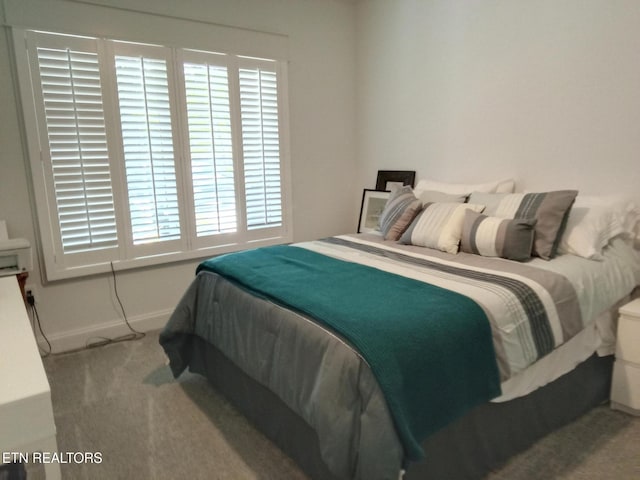 115 Bent Oak Ter, Crossville, TN 38558 - carpeted bedroom with multiple windows