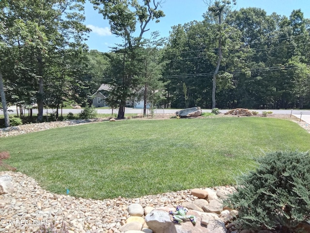 115 Bent Oak Ter, Crossville, TN 38558 - view of grassy yard