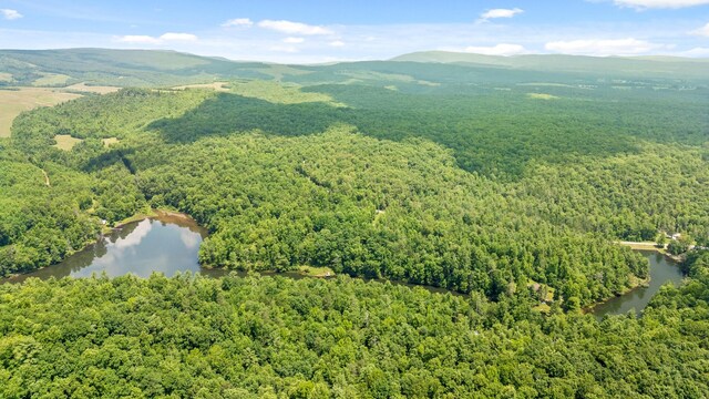 279 Bear Den Trl, Grandview, TN 37337 - photo 15