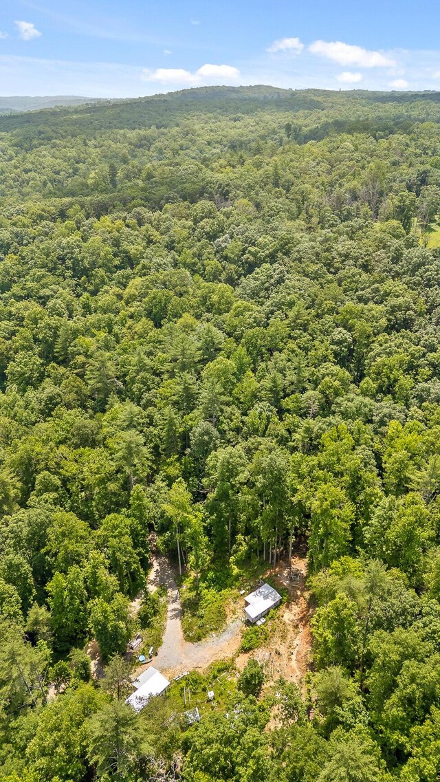 279 Bear Den Trl, Grandview, TN 37337 - photo 11