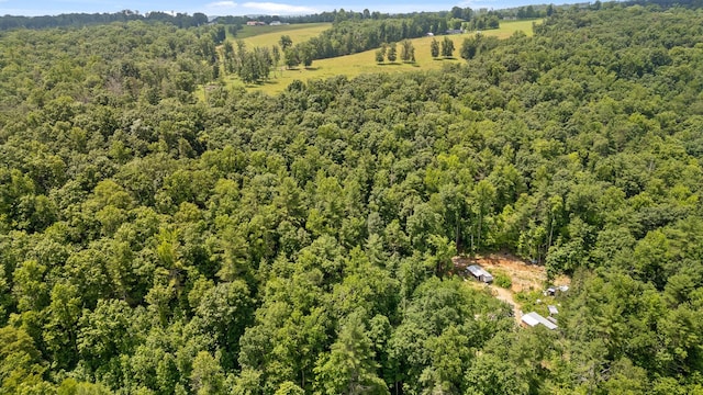 279 Bear Den Trl, Grandview, TN 37337 - photo 3