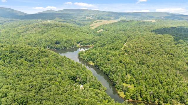 279 Bear Den Trl, Grandview, TN 37337 - photo 13