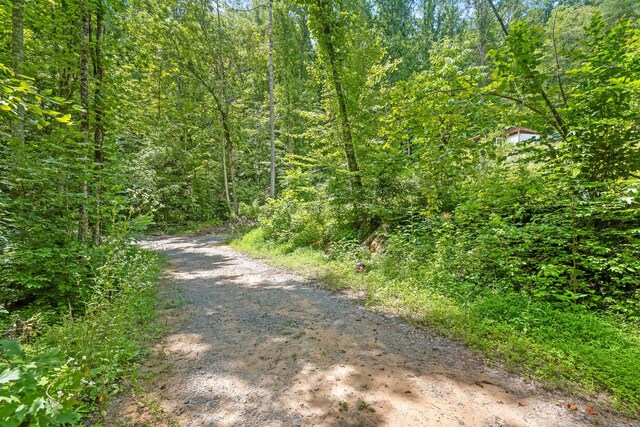 279 Bear Den Trl, Grandview, TN 37337 - photo 17