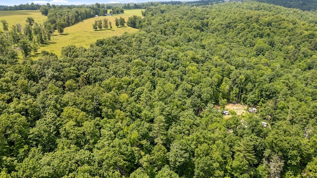 279 Bear Den Trl, Grandview, TN 37337 - photo 4