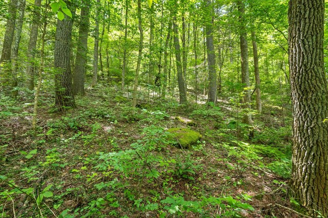 279 Bear Den Trl, Grandview, TN 37337 - photo 27