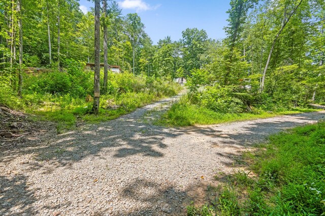279 Bear Den Trl, Grandview, TN 37337 - photo 19