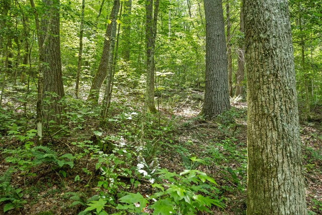 279 Bear Den Trl, Grandview, TN 37337 - photo 29
