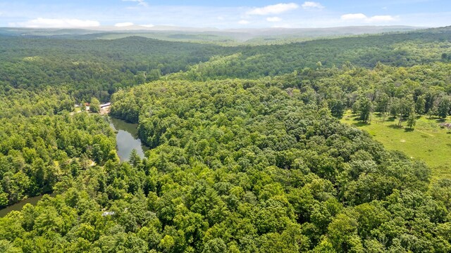 279 Bear Den Trl, Grandview, TN 37337 - photo 9