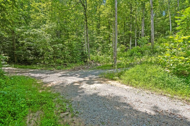 279 Bear Den Trl, Grandview, TN 37337 - photo 18