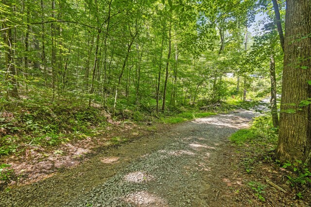 279 Bear Den Trl, Grandview, TN 37337 - photo 20