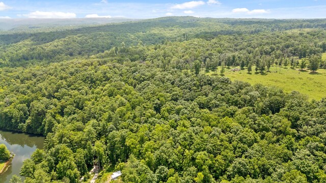 279 Bear Den Trl, Grandview, TN 37337 - photo 10