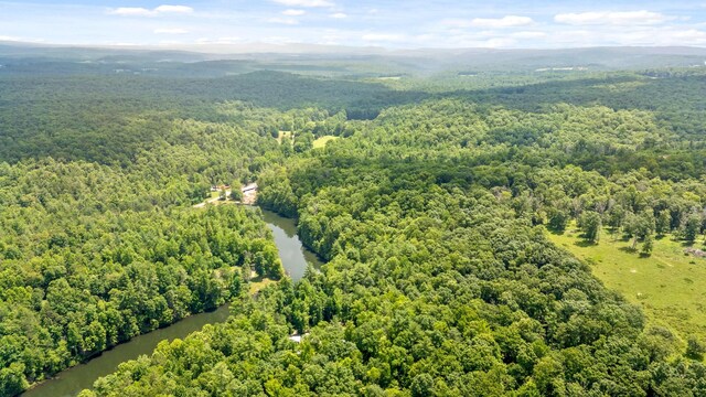 279 Bear Den Trl, Grandview, TN 37337 - photo 14