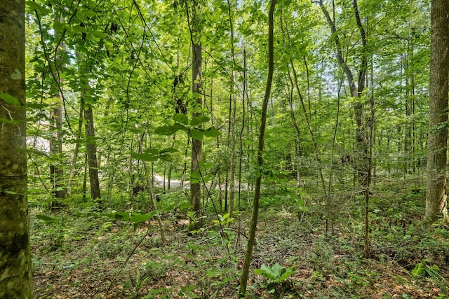 279 Bear Den Trl, Grandview, TN 37337 - photo 30