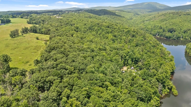 279 Bear Den Trl, Grandview, TN 37337 - photo 5