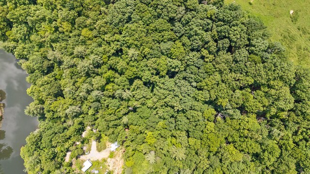 279 Bear Den Trl, Grandview, TN 37337 - photo 12