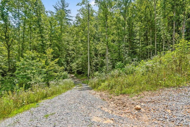 279 Bear Den Trl, Grandview, TN 37337 - photo 24