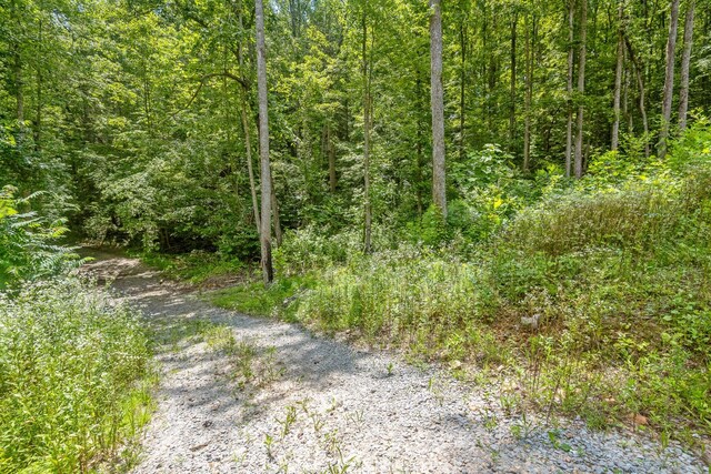 279 Bear Den Trl, Grandview, TN 37337 - photo 22