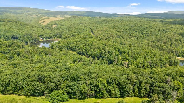 279 Bear Den Trl, Grandview, TN 37337 - photo 7