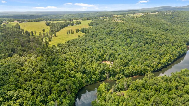 279 Bear Den Trl, Grandview, TN 37337 - photo 16
