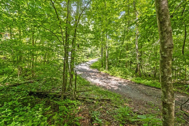 279 Bear Den Trl, Grandview, TN 37337 - photo 26