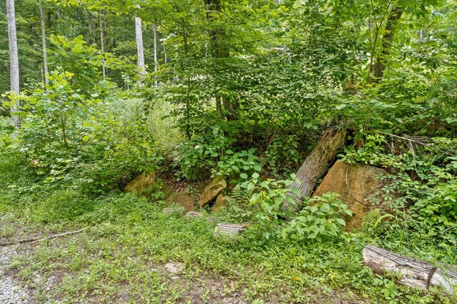 279 Bear Den Trl, Grandview, TN 37337 - photo 31