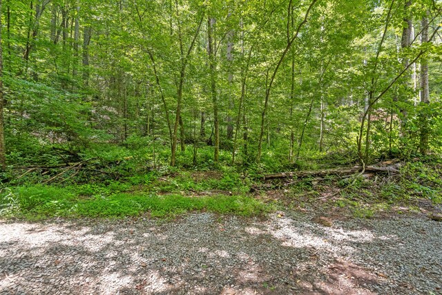 279 Bear Den Trl, Grandview, TN 37337 - photo 21