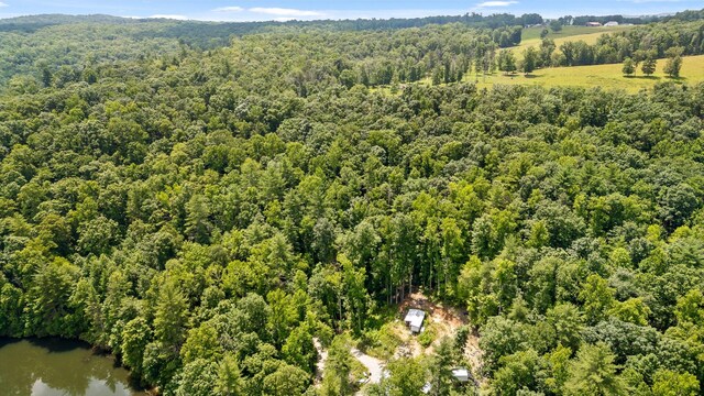 279 Bear Den Trl, Grandview, TN 37337 - photo 2
