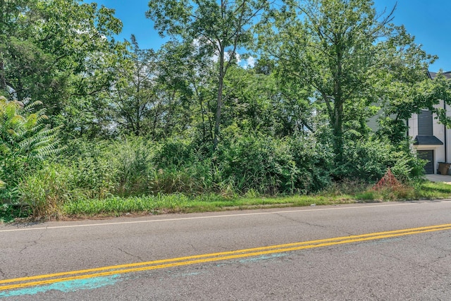 388 Rio Vista Dr, Madison, TN 37115 - photo 6