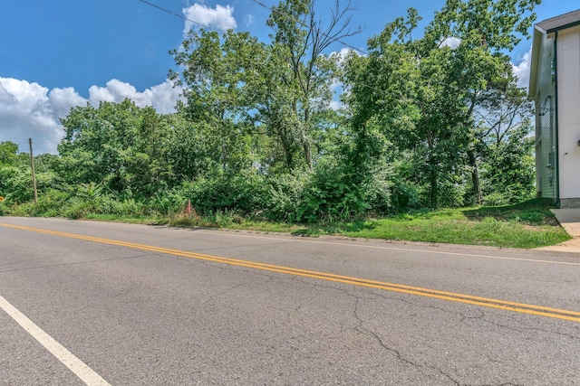 388 Rio Vista Dr, Madison, TN 37115 - photo 5