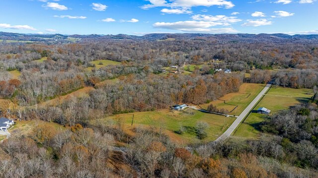 0 Smithson Rd, College Grove, TN 37046 - photo 12