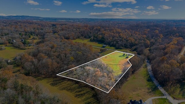 0 Smithson Rd, College Grove, TN 37046 - photo 25