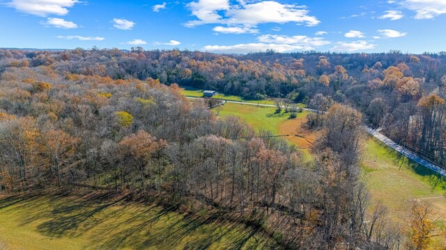 0 Smithson Rd, College Grove, TN 37046 - photo 9