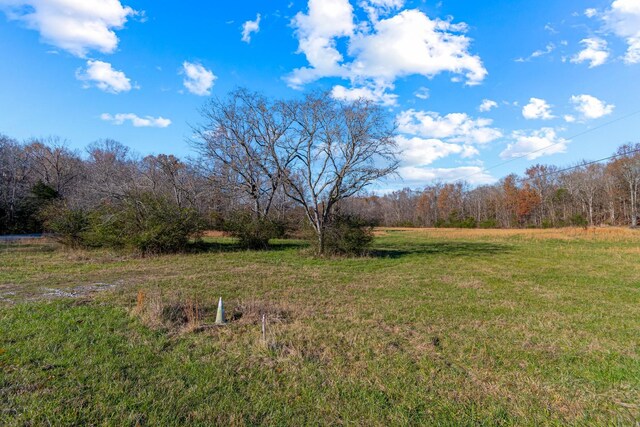 0 Smithson Rd, College Grove, TN 37046 - photo 16