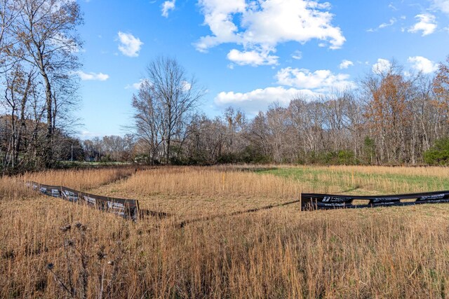 0 Smithson Rd, College Grove, TN 37046 - photo 19