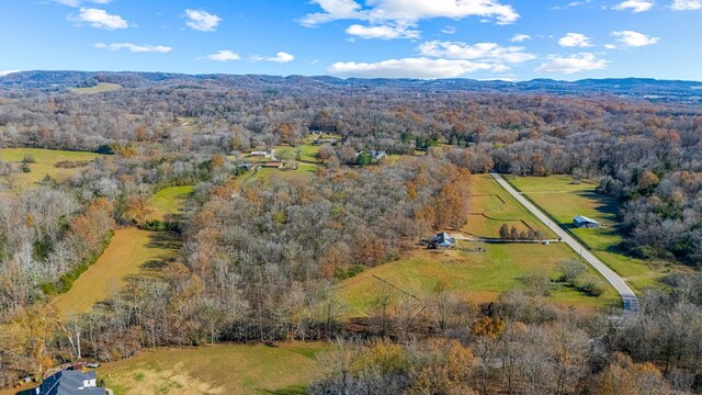 0 Smithson Rd, College Grove, TN 37046 - photo 11