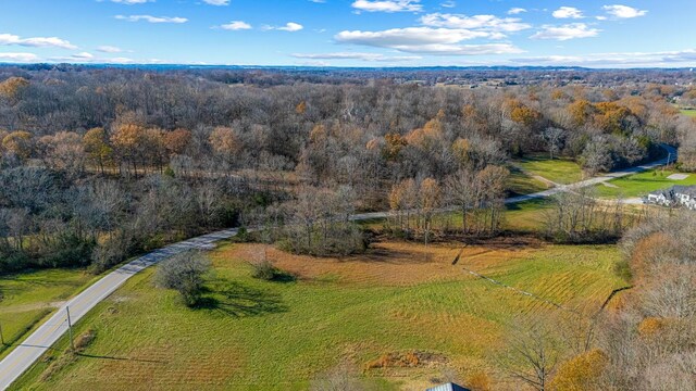 0 Smithson Rd, College Grove, TN 37046 - photo 4
