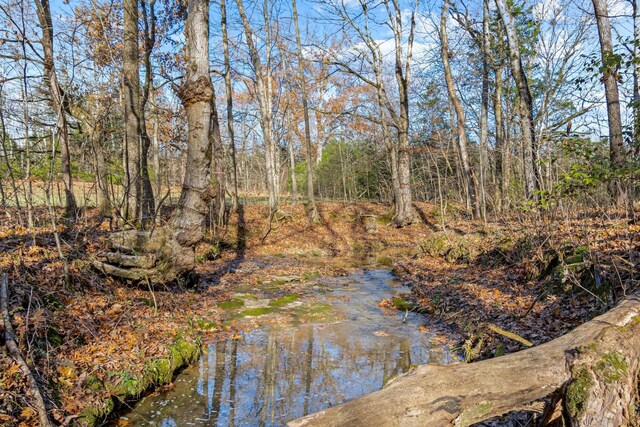 0 Smithson Rd, College Grove, TN 37046 - photo 22